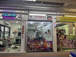 Serangoon North Avenue 2 (D19), Shop House #484801521